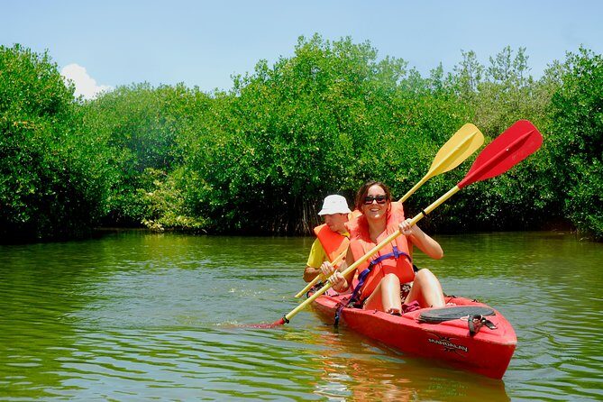 Kayak Lagoon Tour - In-Depth Review of the Kayak Lagoon Tour