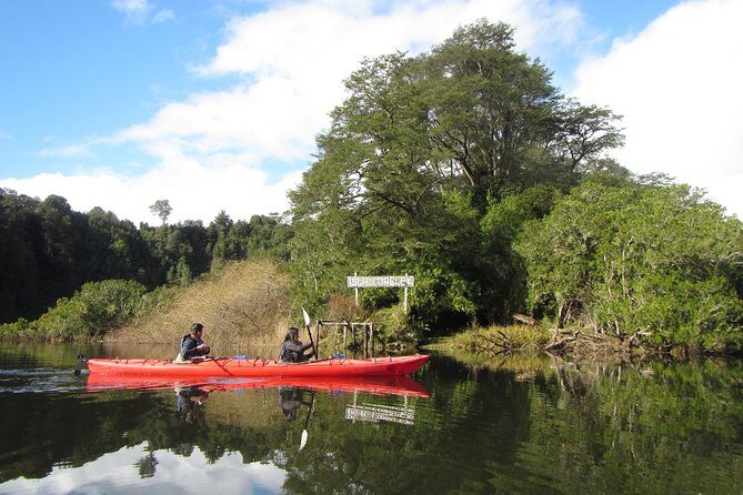 Kayak Laguna La Poza 1/2 day - Experience the Calm and Beauty of Laguna La Poza by Kayak