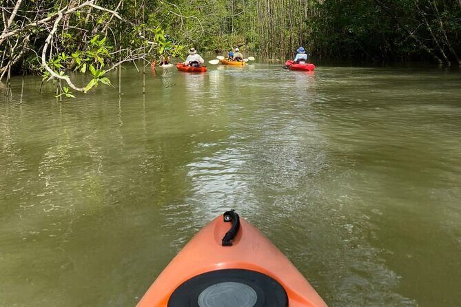 Kayak Mangrove Tour in Manuel Antonio - Key Points: