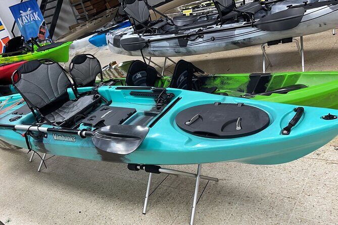 Kayak Mangrove Tour in Manuel Antonio - An In-Depth Look at the Kayak Mangrove Tour