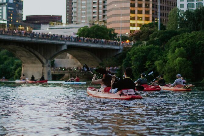 Kayak or Paddle Board Sunset Bat Tour - Final Thoughts: The Value of a Water-Based Bat Watch