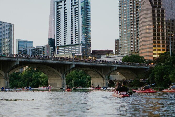 Kayak or Paddle Board Sunset Bat Tour - FAQs