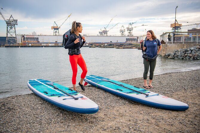 Kayak Or Paddle Board Tour on the San Francisco Bay - A Deep Dive into the San Francisco Bay Kayak & Paddleboard Tour