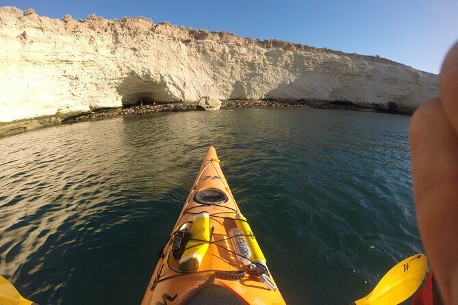 Kayak Paddling Experience with Sea Lions in Puerto Madryn - FAQs
