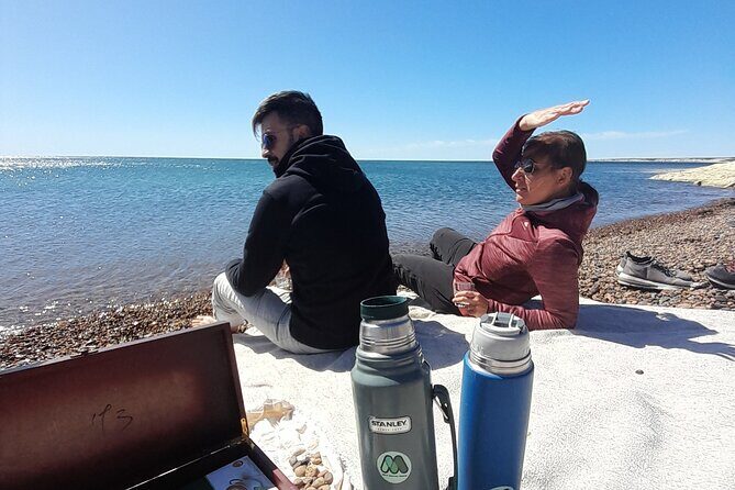 Kayak Paddling Experience with Sea Lions in Puerto Madryn - Final Thoughts