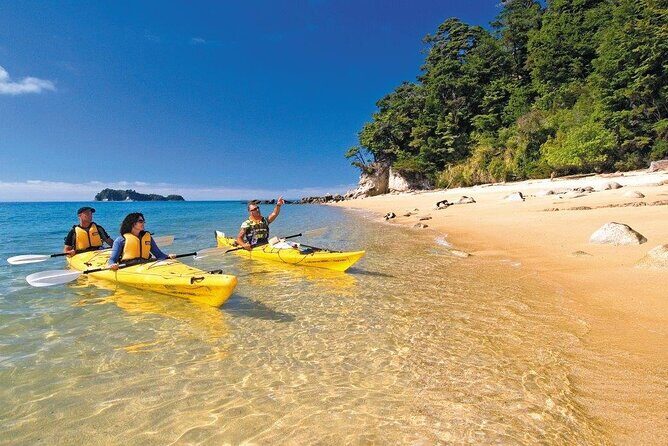 Kayak & Pitt Head Nature Loop - Guided Kayak & Unguided Walk - New Zealand - Key Points
