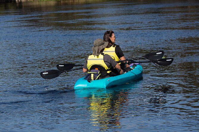 Kayak Rental (2hr) - Blue Spring State Park - Key Points