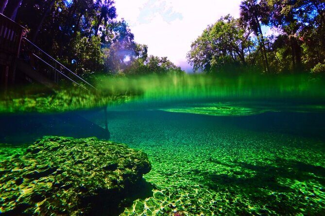 Kayak Rental (2hr) - Blue Spring State Park - Concluding Thoughts