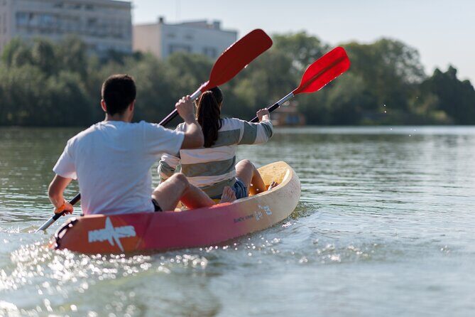 Kayak Rental - The Sum Up