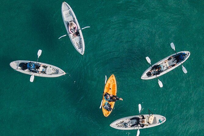 Kayak Rental for Two People in La Jolla - Key Points