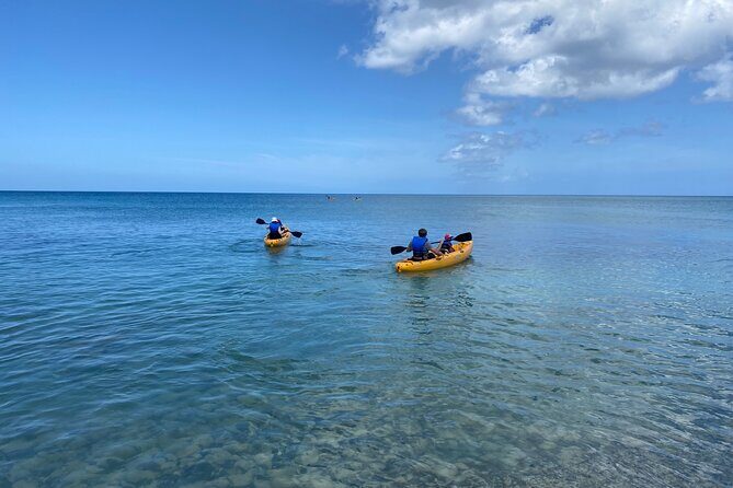 Kayak Rental on Saint Croix - A Detailed Look at the Kayak Rental Experience in Saint Croix