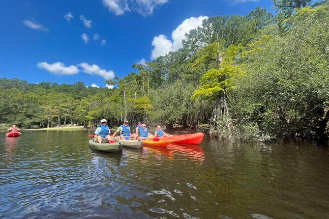 Kayak Rental on the Waccamaw River - Introduction: Exploring the Waccamaw River by Kayak or Paddleboard