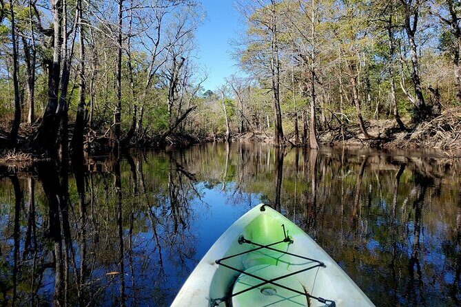 Kayak Rental on the Waccamaw River - Price and Value Analysis