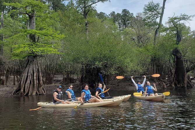 Kayak Rental on the Waccamaw River - The Sum Up: Is This Experience Right for You?