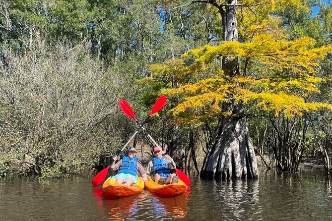Kayak Rental on the Waccamaw River - FAQ: Your Practical Questions Answered