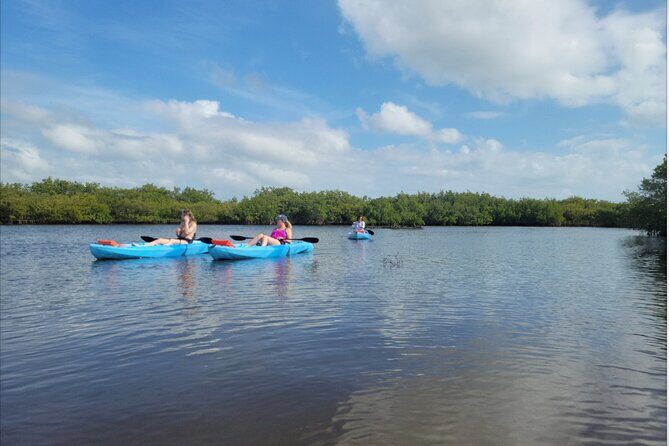 Kayak Rentals - Who Should Consider This Experience?
