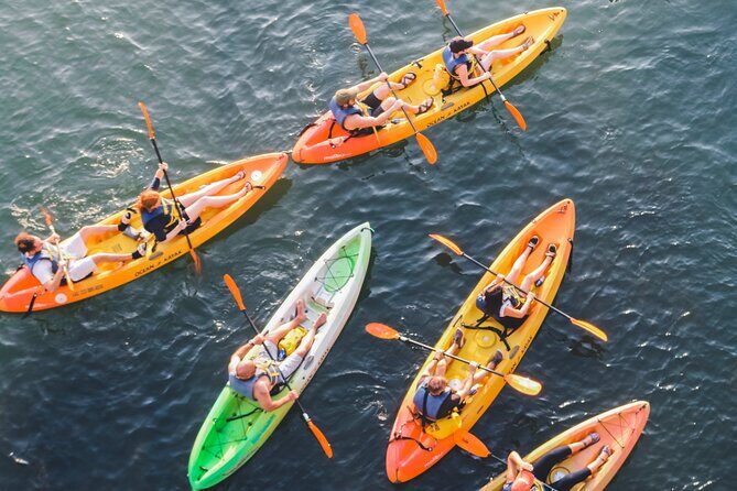 Kayak Rentals on Lady Bird Lake - Who Should Consider This Experience?