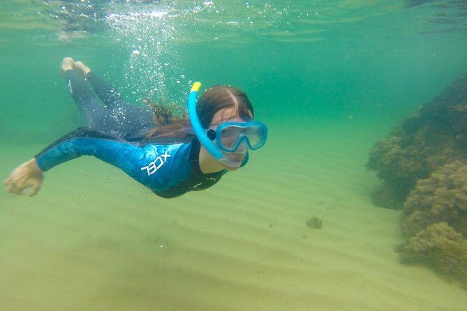 Kayak Route + Snorkel in Cantabria - A Detailed Look at the Kayak Route + Snorkel Tour in Cantabria
