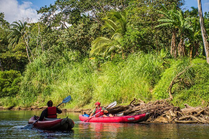 Kayak Safari - Key Points