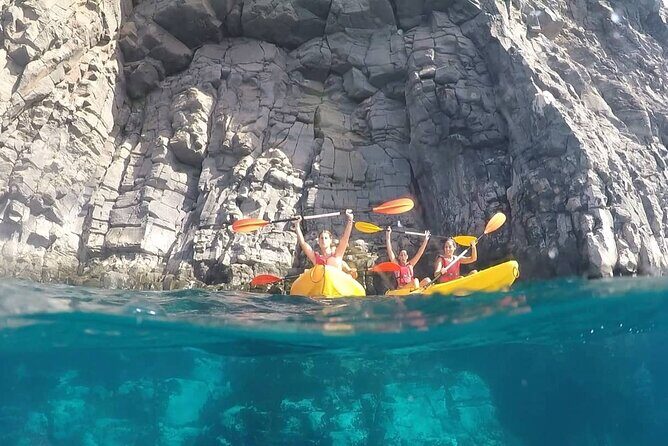Kayak Safari with Dolphin and Turtle Watching in Guaza - Frequently Asked Questions