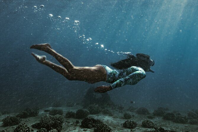 Kayak, Snorkel, and Surf with Turtles in Honolulu - Final Thoughts