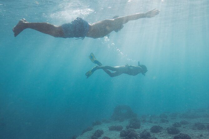 Kayak, Snorkel, and Surf with Turtles in Honolulu - Final Thoughts: Is It Worth It?