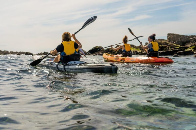 KAYAK & SNORKEL in Hondarribia - Exploring Hondarribia by Kayak & Snorkel: A Genuine Coastal Adventure