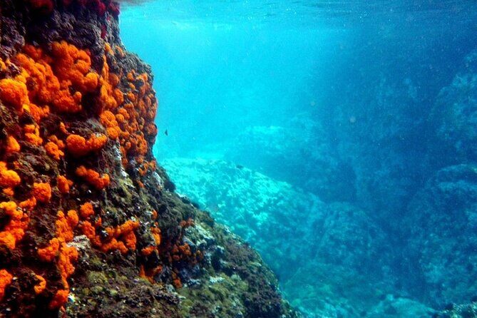 Kayak & Snorkel Tour in Cerro Gordo Natural Park, La Herradura - A Deep Dive into the Experience