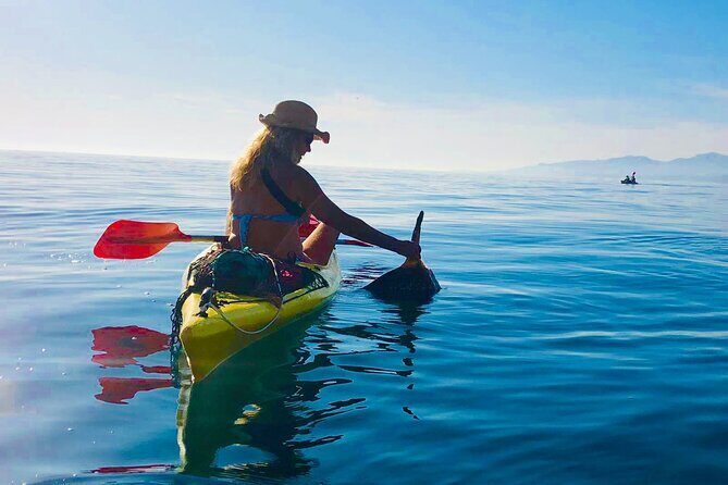 Kayak & Snorkel Tour in Cerro Gordo Natural Park, La Herradura - Potential Drawbacks & Considerations