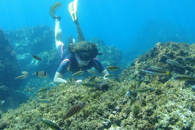 Kayak & Snorkel Tour in Cerro Gordo Natural Park, La Herradura - Who Should Consider This Tour?