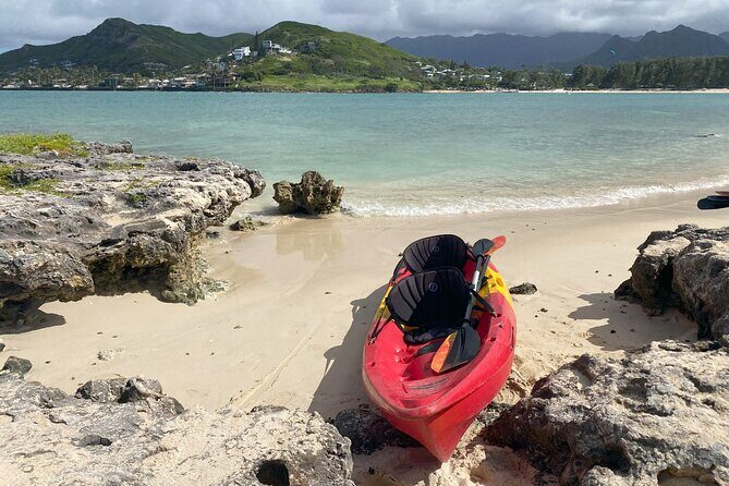 Kayak Stand Up Paddle Board SUP Rental - Pricing and Value