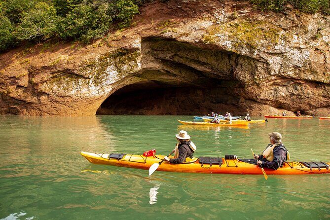 Kayak the Bay of Fundy Sea Caves - Who Will Love This Tour?
