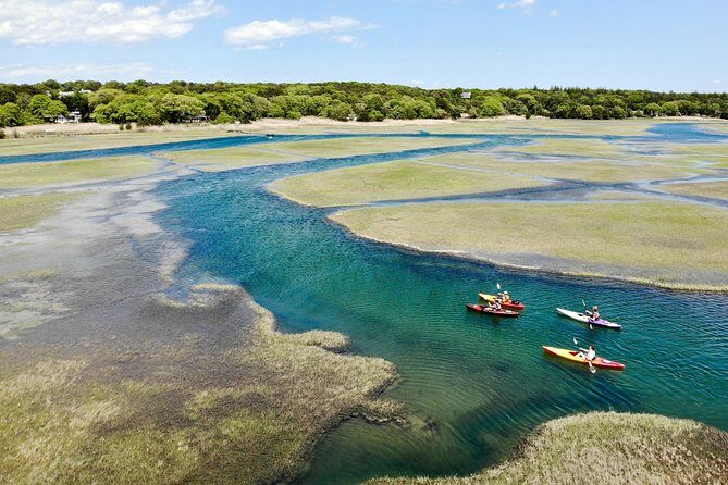 Kayak The Creek Nature Tour - Key Points