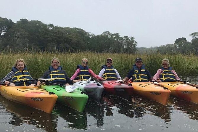 Kayak The Creek Nature Tour - Price and Value