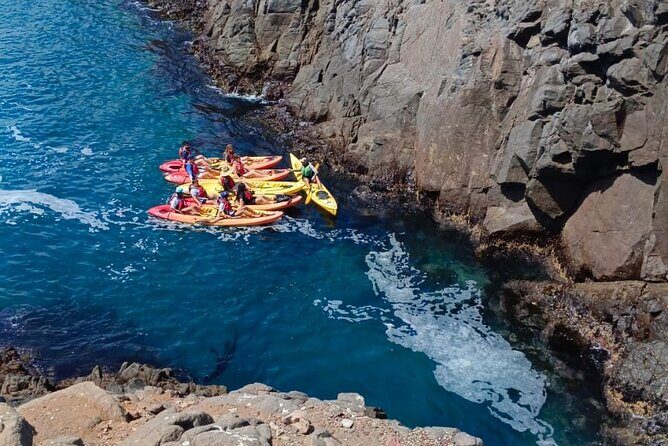 Kayak The Jacket and Flea market Private Tour - Exploring Ensenada Through Kayak and Local Markets