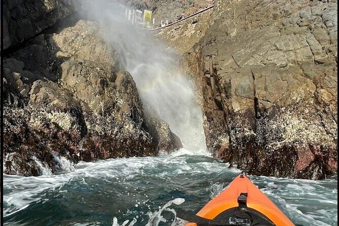 Kayak The Jacket and Flea market Private Tour - FAQ