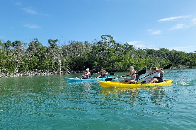 Kayak through Mangrove Forests in the Florida Keys - Kayak through Mangrove Forests in the Florida Keys: A Detailed Review
