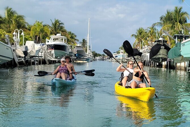 Kayak through Mangrove Forests in the Florida Keys - FAQ