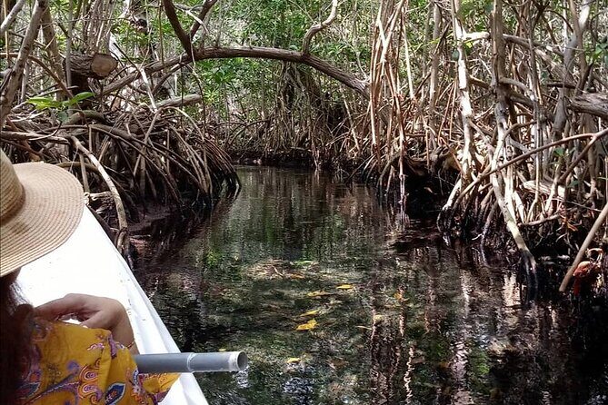 kayak through mangroves to secret beach - Key Points