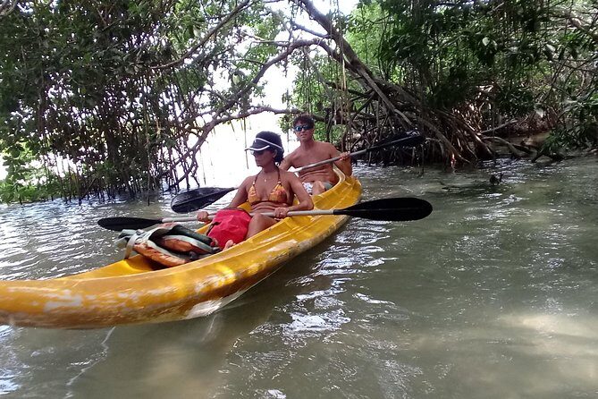 kayak through mangroves to secret beach - FAQ
