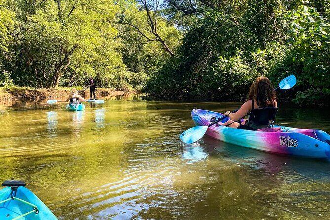 Kayak Through the Mangroves - Who Should Consider This Tour?