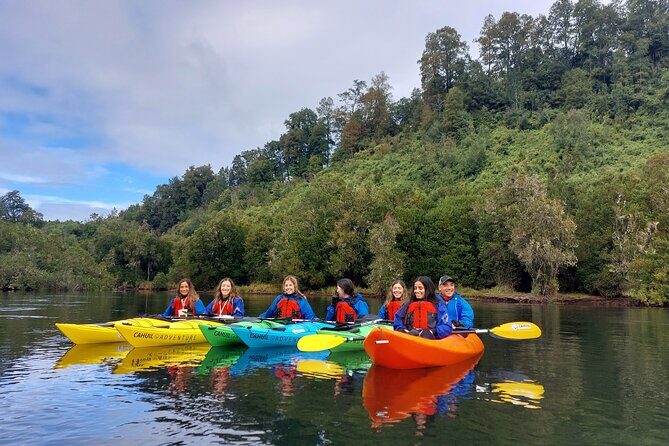 Kayak through the Sunken Forest of the Maullín River - Discovering the Maullín River: A Balance of Nature and Adventure