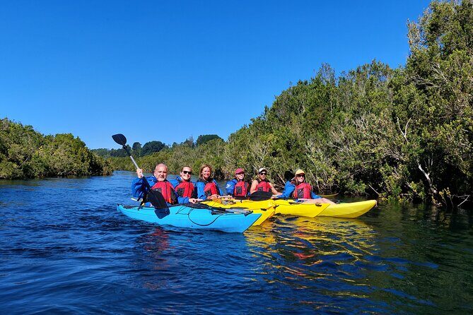 Kayak through the Sunken Forest of the Maullín River - Who Should Consider This Tour?