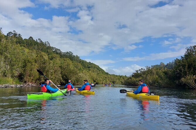 Kayak through the Sunken Forest of the Maullín River - Kayak through the Sunken Forest of the Maullín River: A Nature Lover’s Dream