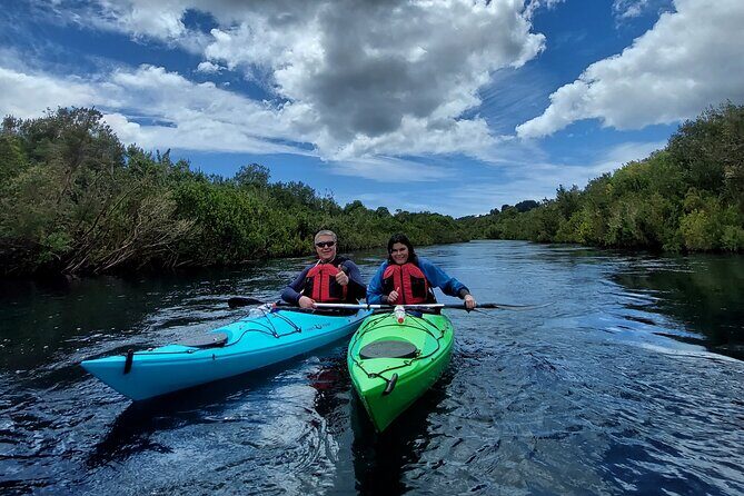 Kayak through the Sunken Forest of the Maullín River - Exploring the Maullín River Kayak Tour