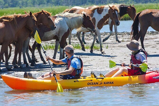 Kayak Tour along Assateague & Chincoteague Island, Virginia - Discover the Wild Side of Virginia with a Kayak Tour Along Assateague & Chincoteague Island