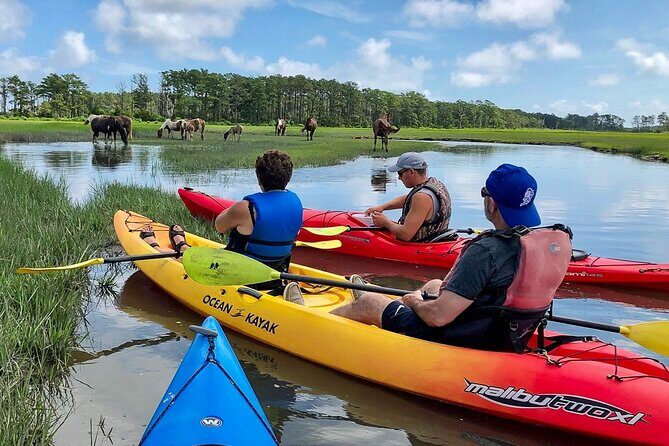 Kayak Tour along Assateague & Chincoteague Island, Virginia - Who Should Consider This Tour?