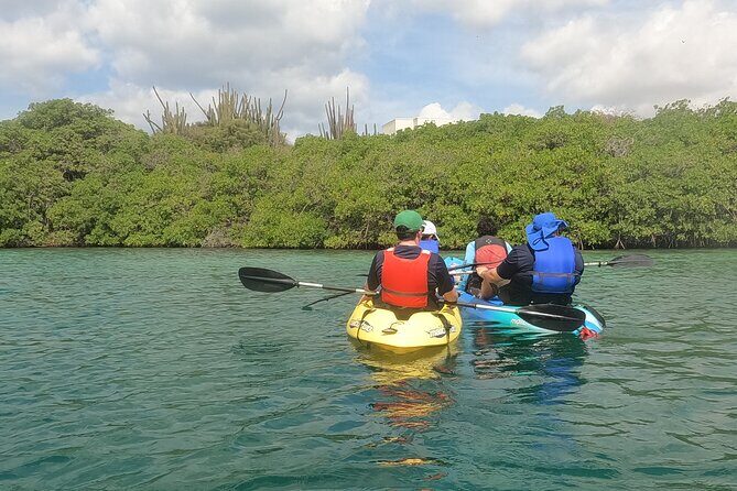 Kayak Tour at Mangel Halto and Spanish Lagoon - A Deep Dive into the Kayak Tour Experience