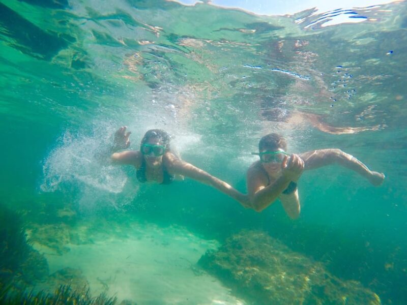 Kayak Tour Bay of Palma - Who Will Love This Tour?