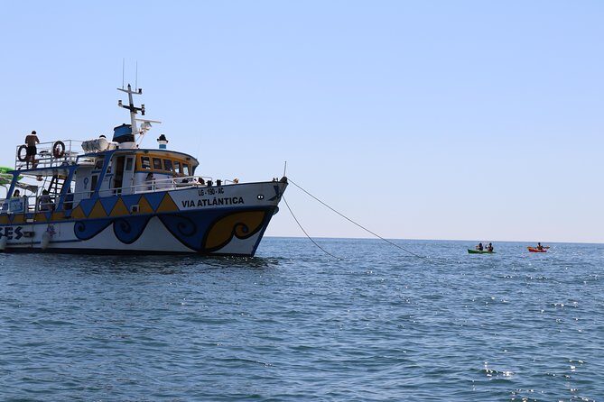 Kayak Tour - Final Thoughts: Who Should Consider This Tour?